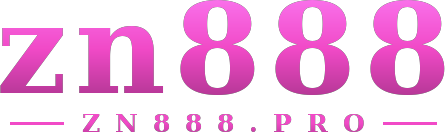 zn888 logo